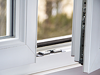 Женщина на глазах у детей выбросила собаку и кошку с девятого этажа