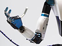 Результаты всех матчей Кубка конфедераций  предскажет робот Бакстер