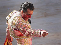 На корриде во Франции погиб знаменитый испанский матадор
