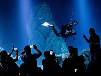 Подводный мир Иерусалима: в столице откроется океанариум. Фоторепортаж