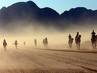 Тысячи верблюдов застряли на границе Катара и Саудовской Аравии без воды и ухода 
