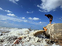 Специалист минэкологии Израиля прокомментировал ситуацию вокруг Газы