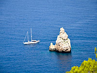 Трагедия в Калифорнии: погибла Бонни Каланик – мать главы компании Uber