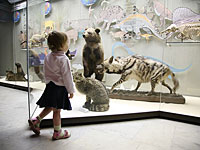 В Тель-Авиве открылся самый большой на Ближнем Востоке музей природы