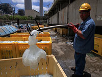 Наплыв медуз угрожает работе крупнейшей электростанции Израиля. ВИДЕО