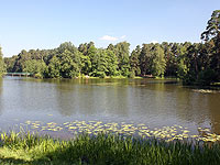 Дагестанец спас утопавшую москвичку, но сам погиб