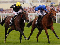 Британская компания по организации скачек требует от Израиля многомиллионную  компенсацию