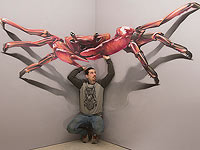 Trick Art в Беэр-Шеве: 