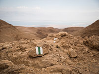 Женщина потеряла сознание при прохождении туристического маршрута возле Арада