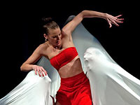 Три балетных труппы в одном летнем проекте