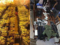 В Тверии обнаружена лаборатория, в которой выращивали коноплю