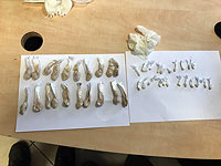 В южном Тель-Авиве обнаружены две точки торговли наркотиками