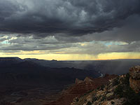 Жертвами внезапного паводка в Аризоне стали не менее 9 человек