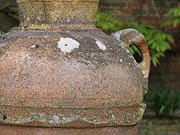 В Турции обнаружен древнейший