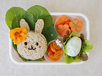 Минздрав закрыл склад, поставлявший продукты питания для детских садов