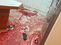 Террориста, проникшего в Халамиш, нейтрализовал один из местных жителей