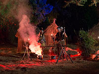 Африканские ночи в Ботаническом саду Иерусалима