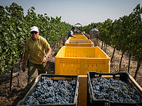 Минпрос одобрил 