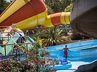 Благодаря 14-летнему подростку в 