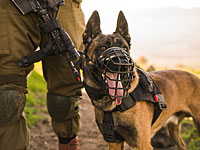 В преддверии пятничной молитвы ЦАХАЛ усиливает меры безопасности в Иудее и Самарии