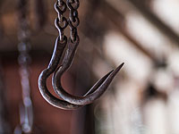 Нидерланды могут сделать исключение для единственной кошерной скотобойни страны