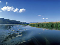 Либерленд готов предоставить гражданство тысяче израильтян