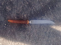 У Пещеры Праотцев задержан араб, приблизившийся с ножом к пограничникам