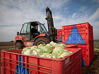 Государство будет субсидировать работодателям на периферии зарплату социально слабых работников