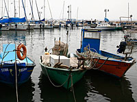 В хайфской гавани травмированы двое работников