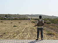 Ливанская армия освободила две трети территории, контролируемой ИГ