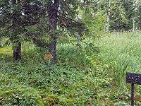 В одном из лагерей ГУЛага в Коми найдена могила члена ЕАК писателя Дер Нистера