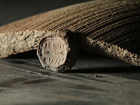 Печать, напомнившая о проклятом царе, рассказала про Иерусалим Первого храма