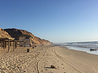 Три человека задержаны за гуляние нагишом по людному пляжу