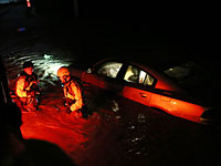 Жертвами урагана