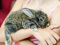 Голод в Венесуэле: Николас  Мадуро внедряет  план 