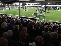 Конное троеборье: во время соревнований погиб 29-летний французский спортсмен