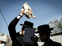 Министерство экологии призвало не мучить птиц во время обряда