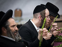 Израильтяне готовятся к празднику Суккот. Фоторепортаж