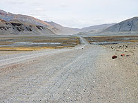 Вице-премьер Киргизии Темир Джумакадыров погиб в ДТП