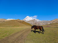 Израильтянка тяжело пострадала во время поездки в Грузию