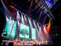 Волшебная иллюзия 