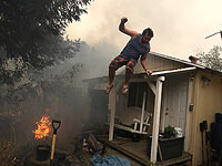 Лесные пожары в Калифорнии. Фоторепортаж
