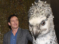 Новозеландская оса названа в честь Люциуса Малфоя
