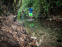 Около 50 тысяч человек отдыхают в природных заповедниках и национальных парках Израиля