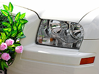 Российская модель Кристина Кучма отомстила своему бойфренду, утопив его Mercedes