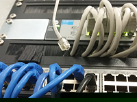 Рынок интернет-услуг в Израиле. Новый опрос NEWSru.co.il