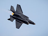 СМИ: истребитель F35 выведен из строя после столкновения с птицей