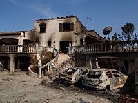 
 Лесные пожары в Португалии и Испании: десятки погибших, власти подозревают поджог
