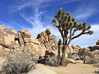 Влюбленные,