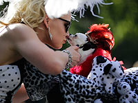 Карнавал по-собачьи: клоуны, дьяволы и гитаристы. Фоторепортаж